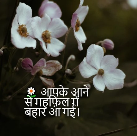 guest welcome Shayari in Hindi